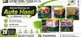 Auto rickshaw advertising services in Mohali (PB)
