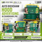 auto-rickshaw-hood-advertising-in-chandigarh-pb-drive-your-brand-visibility-across-the-city